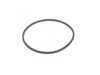 ES#3463355 - 4F0919133B - Fuel Pump Seal - Located between the union nut and the plastic ring - Hudson - Audi