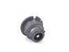 ES#3214257 - B120 - C1 Xtreme Vision D2S HID Bulb - 4800K - Pair - D2-S style - Philips - BMW MINI