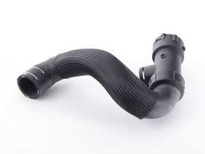 ES#2627492 - 8D0121055AA - Radiator Hose - Lower - Thermostat housing to lower radiator - Rein - Volkswagen