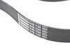 ES#2800573 - 11287628658 - F10 Accessory Belt - Alternator, A/C, and power steering belt - Continental - BMW