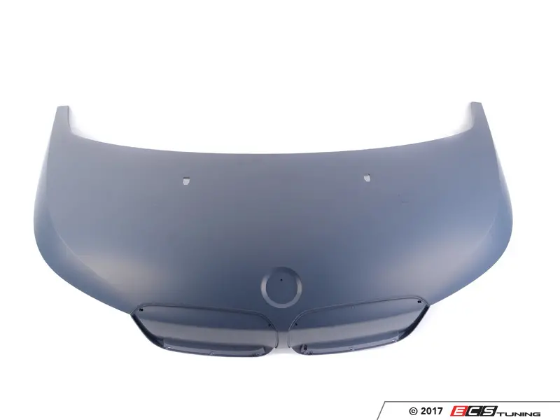 Genuine BMW - 51237375891 - Hood (51-23-7-375-891)