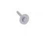 ES#2159235 - 17137605902 - SCREW WITH WASHER - Genuine BMW - BMW