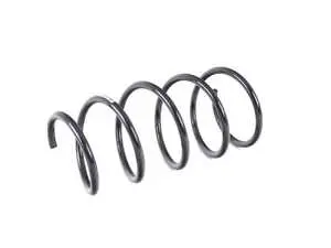 Front Coil Spring