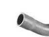 ES#3235355 - 17121475574 - Radiator Hose - Lower 23375 - Keep your MINI engine cool and to proper circulation - Gates - MINI
