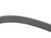 ES#3236061 - 85523008 - Accessory Belt - Recommended to be replaced at the first sign of cracking - Gates - Audi Volkswagen