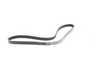 ES#3419880 - 07L903137E - Accessory Belt - Replaces your cracked or worn belt - Bando - Audi