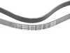 ES#3419880 - 07L903137E - Accessory Belt - Replaces your cracked or worn belt - Bando - Audi
