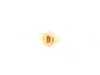 ES#2848584 - 63217301310 - BULB - Genuine BMW - 