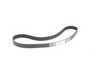 ES#2800754 - 028109119P - Timing Belt - Crucial to the longevity of your engine - Continental - Volkswagen