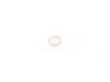ES#3522636 - 07119963151  - E46 Drain Plug Sealing Washer - A12x17-CU - Fischer and Plath - BMW MINI