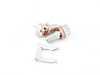 ES#3524701 - 001425ECS03 - Stainless Steel Brake Line - Set - ECS - 