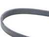ES#2800468 - 11281736972 - Accessory Belt - A/C & water pump belt - Continental - BMW
