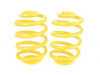ES#2649668 - 65270 - Lowering Spring Set - (NO LONGER AVAILABLE) - Provides a more aggressive stance for improved looks and handling. Average lowering of 1.4"F & 1.4"R. - Suspension Techniques - 