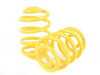 ES#2649668 - 65270 - Lowering Spring Set - (NO LONGER AVAILABLE) - Provides a more aggressive stance for improved looks and handling. Average lowering of 1.4"F & 1.4"R. - Suspension Techniques - 