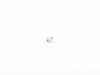 ES#17046 - 07147187828 - SCREW - Genuine BMW - BMW MINI