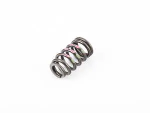 Valve Spring - Priced Each