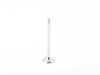 ES#2536168 - 079109611D - Exhaust Valve - Priced Each - A sodium filled valve - Genuine Volkswagen Audi - Audi Volkswagen