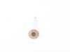 ES#2536168 - 079109611D - Exhaust Valve - Priced Each - A sodium filled valve - Genuine Volkswagen Audi - Audi Volkswagen