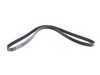 ES#3236135 - 85523121 - Accessory Belt - Direct replacement - Gates - Audi Volkswagen