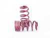 ES#3420221 - 951047 - Sport Spring Lowering Kit R55-R59 - (NO LONGER AVAILABLE) - Progressive spring kit that lowers 1.2" front and rear on average - VOGTLAND - MINI