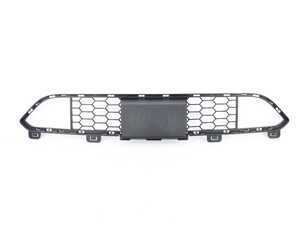 ES#2787056 - 51118056225 - GRILL, CENTER LOWER - Genuine BMW - BMW