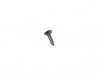 ES#2720065 - 07119907274 - SHEET METAL SCREW - Genuine BMW - BMW MINI