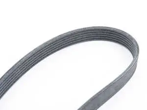 Accessory Belt
