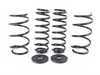 ES#3426952 - EMD-MQB-LSR - Emmanuele Design Lowering Spring Kit - Linear designed lowering springs matched to the factory dampers - Emmanuele Design - Volkswagen