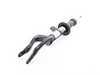 ES#2503531 - 31316798152 - Front Right Spring Strut - Genuine BMW - BMW