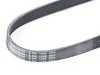 ES#2747919 - 6PK-1050 - Accessory Belt - Recommended to be replaced at the first sign of cracking - Continental - Volkswagen