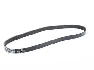 Accessory Belt