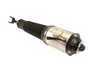 ES#3546775 - AS-2778 - Front Air Suspension Strut - Left - Front Axle, Left Side - Arnott - Audi
