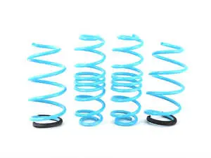 Godspeed Traction-S Lowering Springs