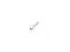 ES#39133 - 17427585290 - Screw - Self Tapping - Genuine BMW - BMW