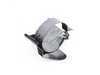 ES#32990 - 13321735000 - E36 Bracket Fuel Strainer - Genuine BMW - BMW