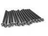 ES#2800999 - 11121721938 - Cylinder Head Bolt Kit - Set of 14 stretch bolts for installing cylinder head - Meistersatz - BMW