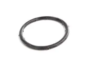 Coolant Flange Sealing O-Ring - Priced Each