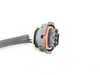 ES#1453413 - 95560617800 - OEM Post-Catalyst Oxygen Sensor - Priced Each - Fitment after the catalyst on either side - 2 required - Genuine Porsche - Porsche