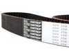ES#1865 - 077109119E - OE Timing Belt - The most important belt on your engine - Continental - Audi