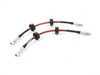 ES#3449510 - 024852ECS01 - Exact-Fit Stainless Steel Brake Lines - Front - DOT-compliant kit to improve pedal feel in your vehicle. - ECS - Audi Volkswagen