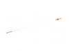 ES#24252 - 11437539243 - Oil dipstick - Genuine BMW - BMW