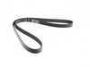 ES#3234999 - 11281432724 - Accessory Belt - Driver the water pump, power steering, and alternator. - Gates - BMW