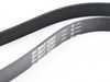 ES#3234999 - 11281432724 - Accessory Belt - Driver the water pump, power steering, and alternator. - Gates - BMW