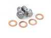 ES#3410499 - 019318ECS02 - Rear Exact-Fit Stainless Steel Brake Lines - Rear set of DOT-compliant lines for an improved pedal feel - ECS - Audi