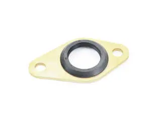 VANOS Adjuster Seal 