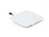 ES#2860724 - 8U0807241AGRU - Front Tow Hook Cover - Primed - Covers the location in the front core support for the tow hook - Genuine Volkswagen Audi - Audi