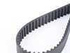 ES#2800513 - 03L109119E - Timing Belt - Replacement timing belt for your TDI - Continental - Volkswagen