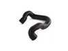 ES#24694 - 11531287651 - Coolant Hose  - From water pump to thermostat housing - Genuine BMW - BMW