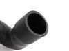 ES#24694 - 11531287651 - Coolant Hose  - From water pump to thermostat housing - Genuine BMW - BMW