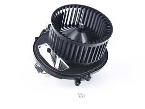 Blower Motor Assembly